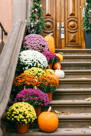 Bright pots of chrysanthemums in various colors and pumpkins line the stairs of a home, showcasing the beauty of autumn.の写真素材
