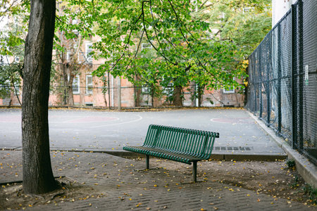 A green bench sits under a tree next to a quiet basketball court with leaves scattered on the ground...