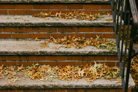 Fallen yellow and brown leaves blanket the concrete steps outside, showcasing the beauty of autumn in a city.の写真素材