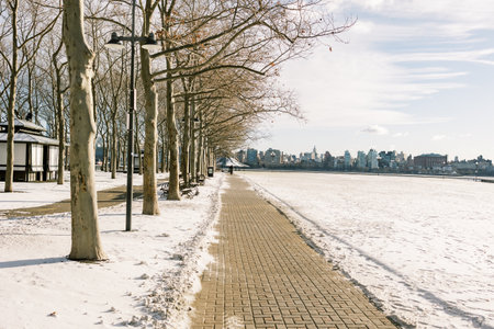 A clear pathway stretches beside a snowy waterfront, lined by bare trees and showcasing a distant...