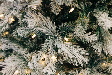 Pine branches covered in frost and illuminated by soft lights bring a festive feel to winter...