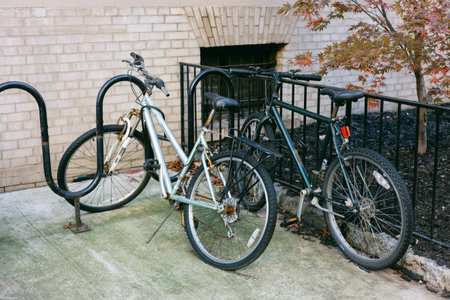 Two bicycles are parked at a bike rack next to a brick building on a bright day, surrounded by fallen leaves.の写真素材
