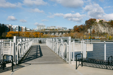 People enjoy a peaceful stroll along the waterside walkway surrounded by vibrant autumn foliage and modern architecture.の写真素材