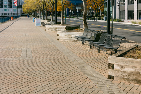 Peaceful riverside pathway features benches and trees, inviting visitors to enjoy a leisurely stroll in autumn.の写真素材