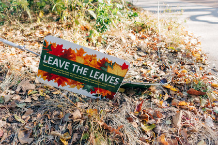 A sign urging people to leave fallen leaves on the ground is positioned among colorful autumn leaves along a pathway.の写真素材