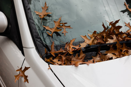 Fallen autumn leaves cover a parked car on a rainy day in the cityの写真素材