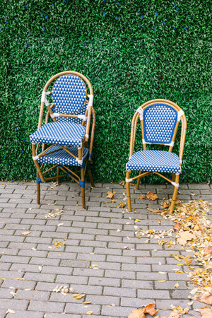 Elegant blue and white patterned chairs stacked against a lush green wall on a cobblestone path in autumnの写真素材