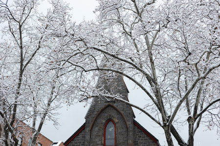 Snow-covered trees surround an old stone church in winterの写真素材