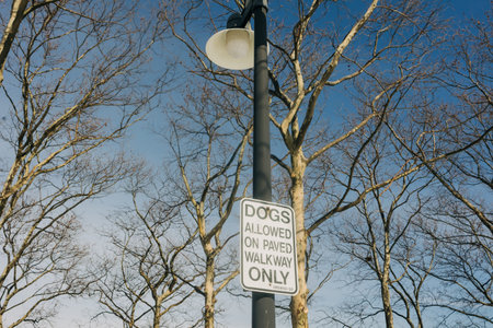 A sign on a pole informs visitors that dogs are allowed on the paved walkway only, surrounded by bare trees.の写真素材