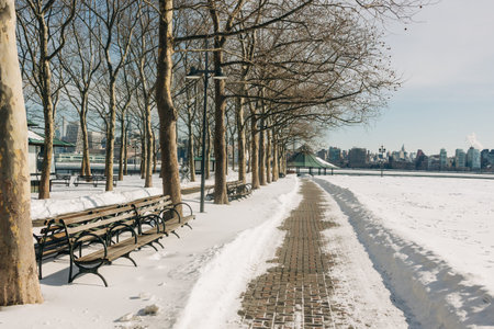 People walk along a snow-covered path next to trees and benches by the water in a winter scene with clear sky.の写真素材