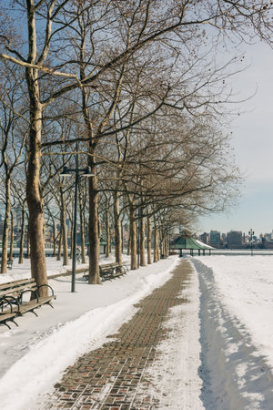 A pathway in a city shows bare trees and benches along the waterfront covered in fresh snow during winter.の写真素材
