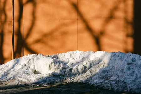 Snow piles up against a wall while tree shadows create patterns in winter sunlight in a city.の写真素材