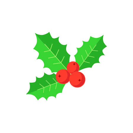 Christmas holly with berry and leaves. Simple flat icon isolated on white background.のイラスト素材