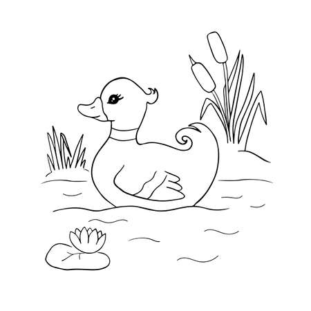 Cute cartoon duck swimming in the pond for coloring page or book. Black and white outline illustration of animal character.のイラスト素材