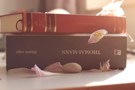 booksの写真素材