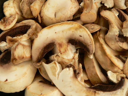 Mushroomsの写真素材