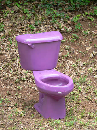 Purple Toiletの写真素材