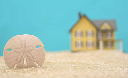 Sand Dollar and Beach House With Blue Background