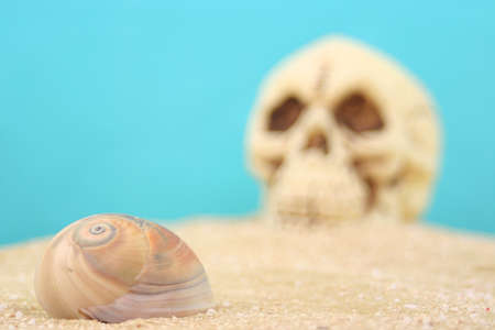 Sea Shell and Pyramid on Sand With Blue Background, Shallow DOFの写真素材
