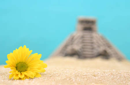 Flower and Pyramid on Sand With Blue Background. Shallow DOFの写真素材