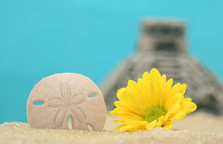 Flower and Sand Dollar on Sand With Pyramid in Background, Shallow DOFの写真素材