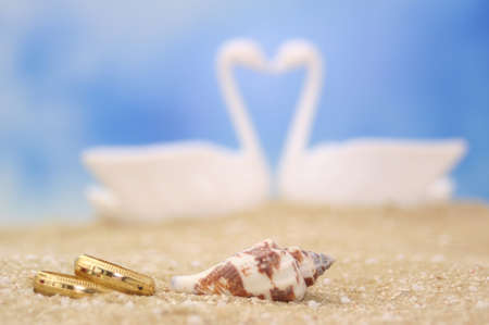 Wedding Rings and Sea Shell on Sand With Swans in Backgroundの写真素材