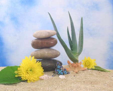 Aloe Vera Plant and Flowers on Sand With Blue Sky Backgroundの写真素材