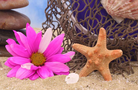 Starfish and Sea Shells on Sand With Flower and Fishing Netの写真素材