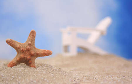 Starfish on Sand With Chair and Blue Sky Backgroundの写真素材