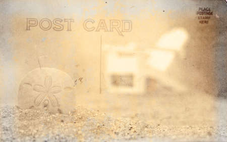 Vintage Grunge Style Postcard Background With Sand Dollarの写真素材