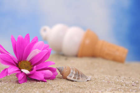 Flower and Sea Shell on Sand With Ice Cream Cone, Shallow DOFの写真素材