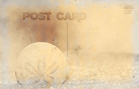 Vintage Grunge Style Postcard With Sand Dollar の写真素材