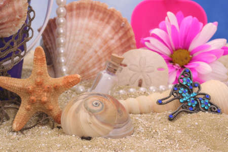 Starfish With Sea Shells and Flower on Beachの写真素材