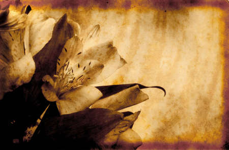 Vintage Grunge Style Background With Flowersの写真素材
