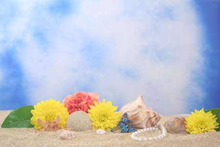 Flowers and Sea Shells on Sand With Blue Backgroundの写真素材