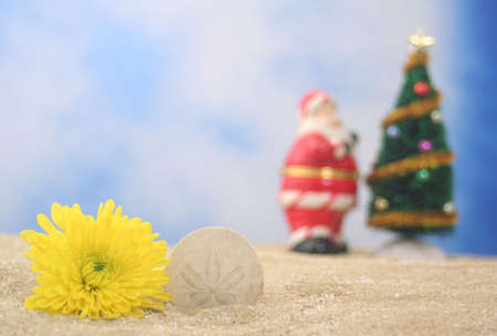 Flower and Christmas Tree on Sand, Shallow DOF, Focus on Sea Shellの写真素材