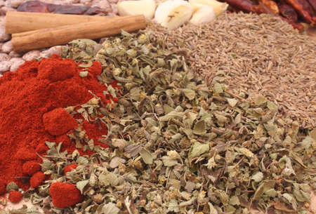 Garlic, Paprika, Pinto Beans and Other Spicesの写真素材