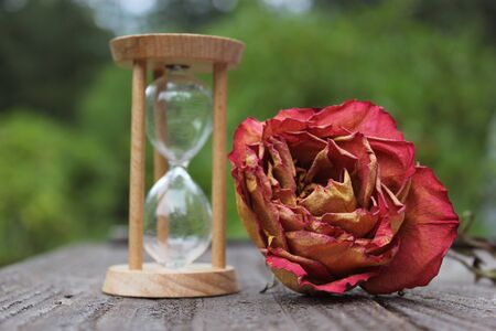 Dry Rose With Broken Hourglass outdoors on patio