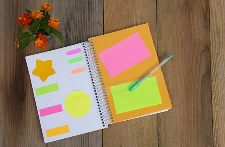 Notebook With Flags and Sticky Notes 