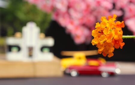 Flowers Closeup with Vintage Diner and Hot Rods in background. Small Town Conceptの写真素材