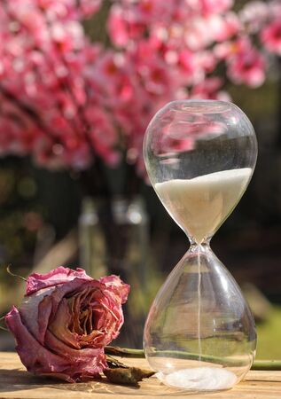 Dry Rose WIth Hourglassの写真素材