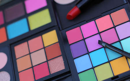 Colorful Cosmetic Pigment Palettesの写真素材