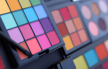 Colorful Cosmetic Pigment Palettes and Various Cosmetics