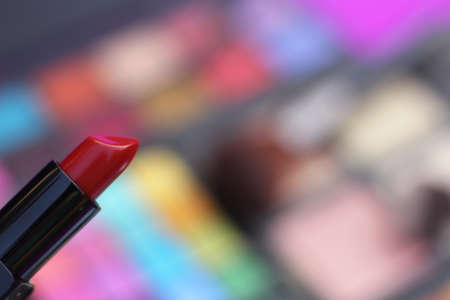 Colorful Cosmetic Pigment Palettes and various cosmeticsの写真素材