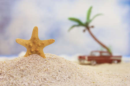 Seashell on Tropical Beach With Vintage Hot Rod in Backgroundの写真素材