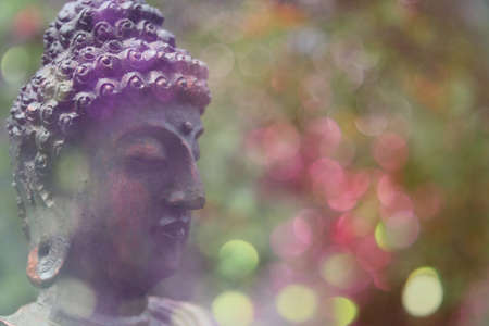 Buddha Statue Outdoors in Garden With Blurred Backgroundの写真素材