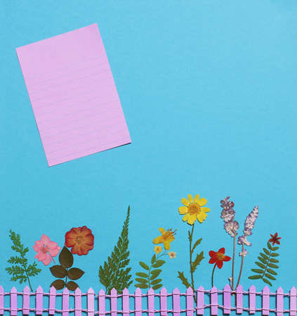 Dried Flowers On Blue Paper With pen and room for textの写真素材