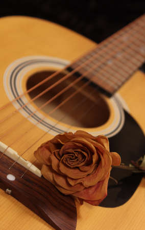 Classic Acoustic Guitar With Dried Rosesの写真素材
