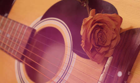 Classic Acoustic Guitar With Dried Rosesの写真素材