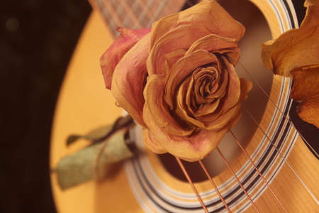 Classic Acoustic Guitar With Dried Rosesの写真素材